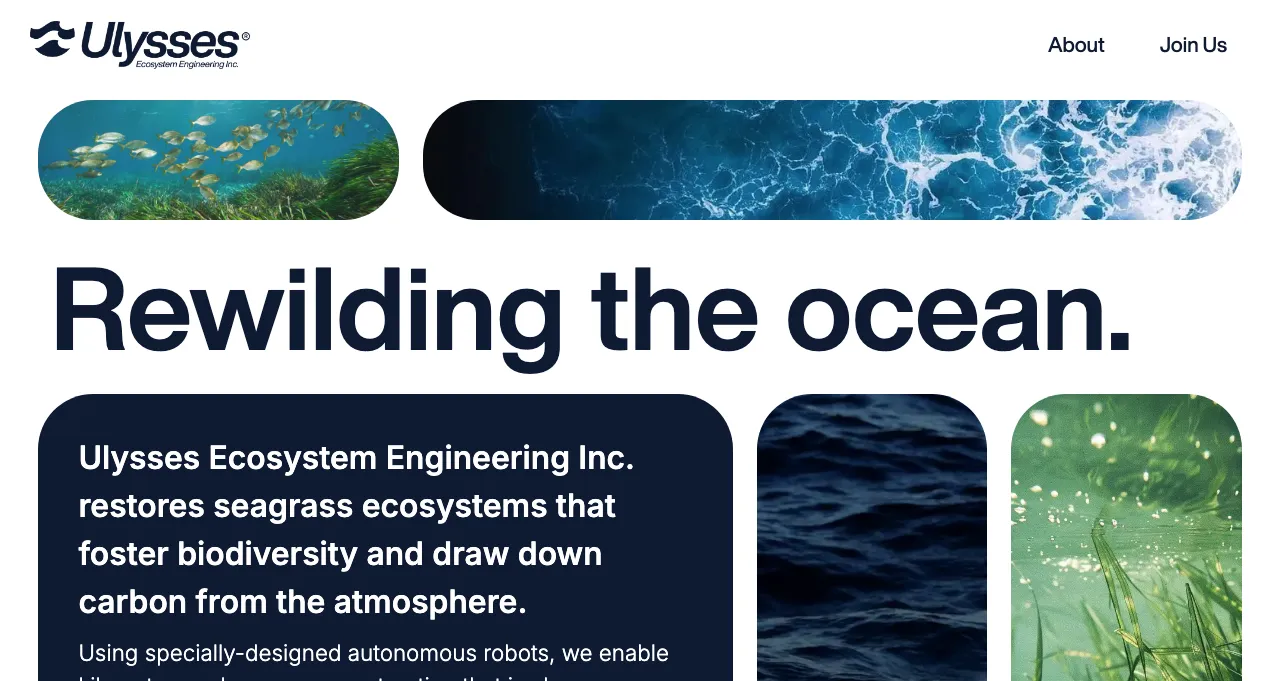 Ulysses Ecosystem Engineering Ulysses生态工程利用机器人恢复海草种群