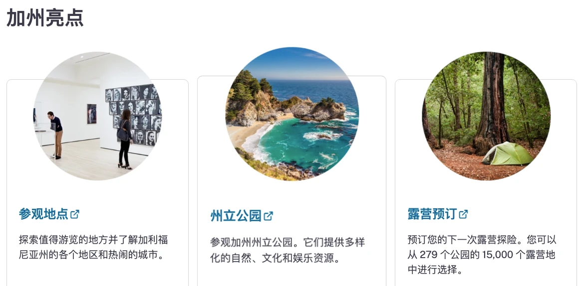 null 州政府能否引领AI监管潮流?深度剖析