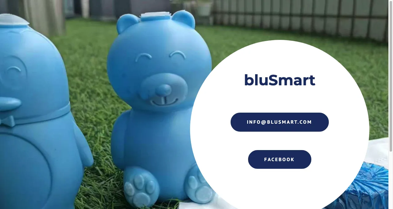 BluSmart 印度网约车BluSmart危机解析:3000万美元融资博弈与行业泡沫警示